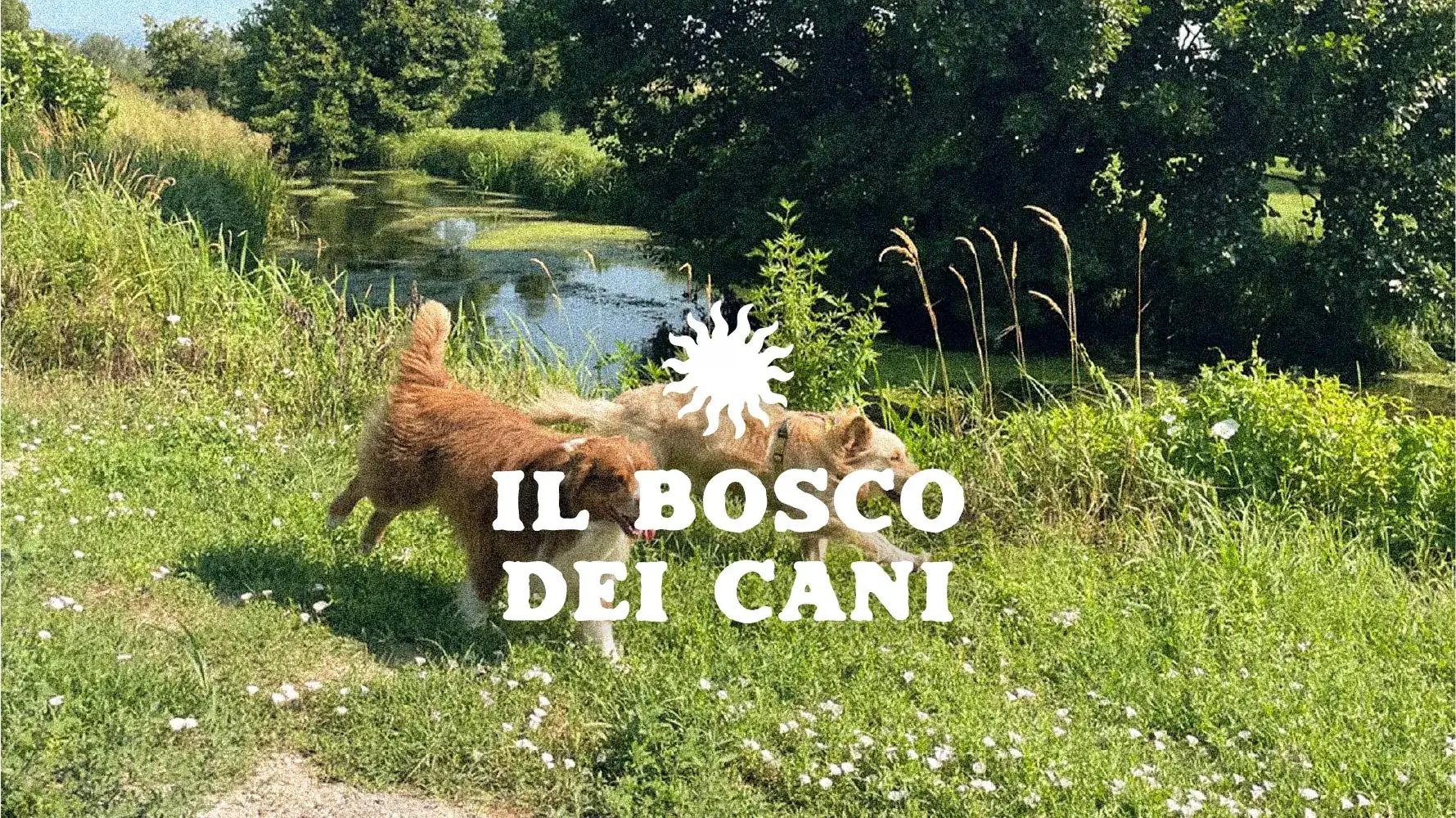 Il Bosco dei Cani: logo su una fotografia nella natura